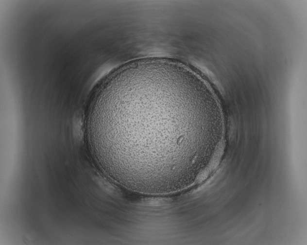 X0000111421163200907201042