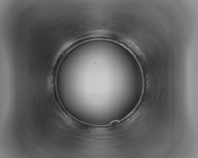 X0000111421164200907201042