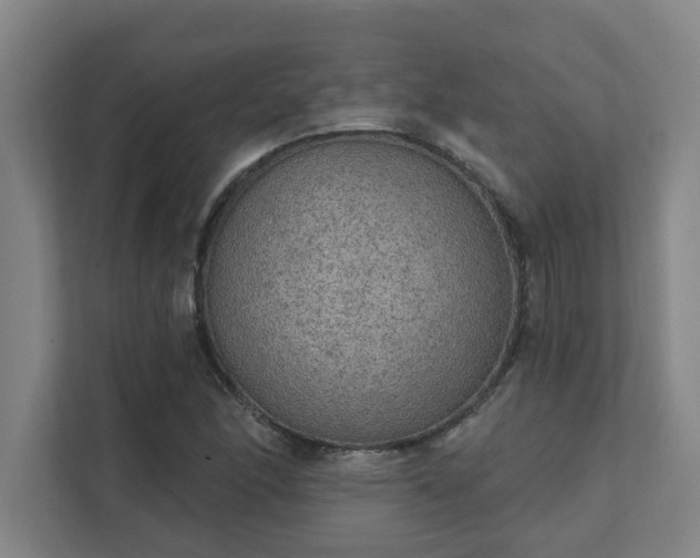 X0000111421166200907201042