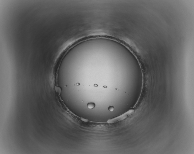 X0000111421167200907201042