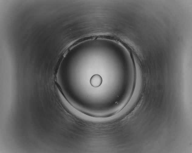 X0000111421169200907201042