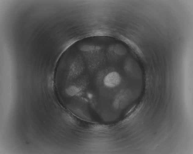 X0000111421170200907201042