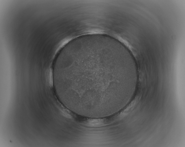 X0000111421171200907201042