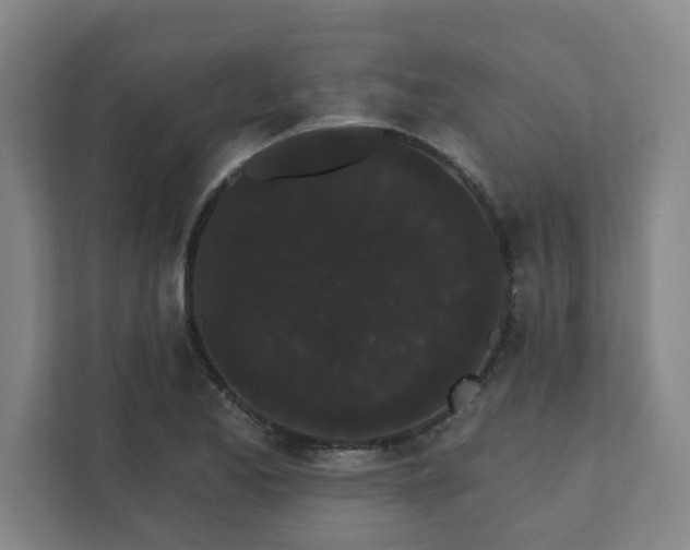 X0000111421173200907201042