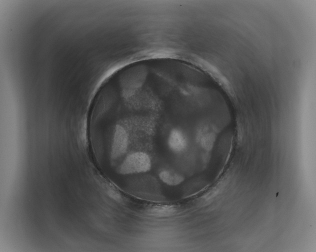 X0000111421174200907201042