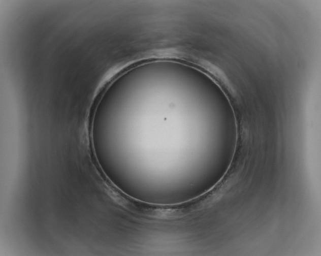 X0000111421176200907201042