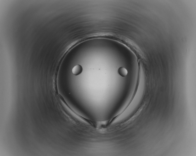 X0000111421177200907201042