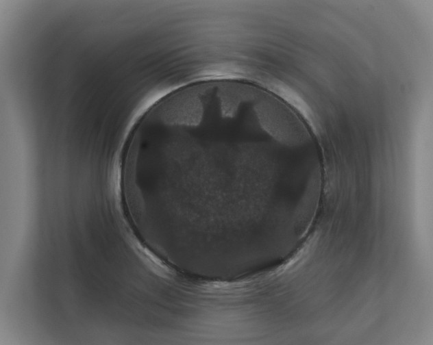 X0000111421179200907201042