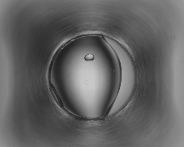 X0000111421181200907201042