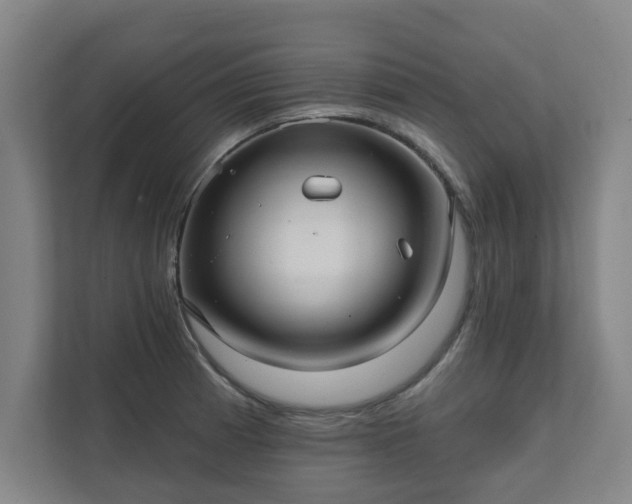 X0000111421185200907201041