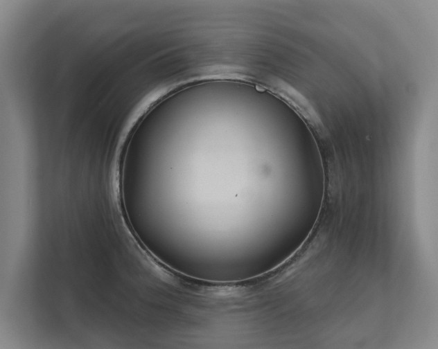 X0000111421188200907201041