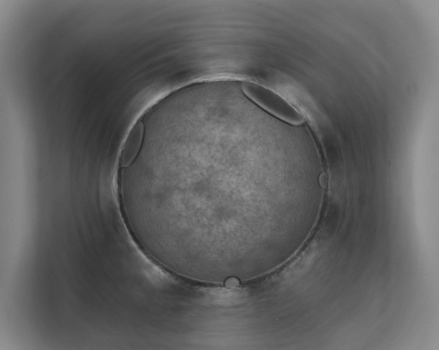 X0000111421189200907201041