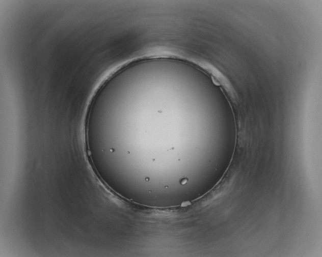 X0000111421191200907201041