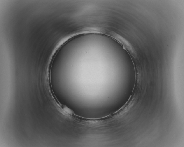 X0000111421192200907201041