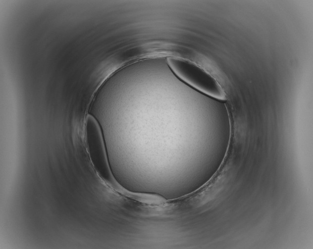 X0000111421193200907201041