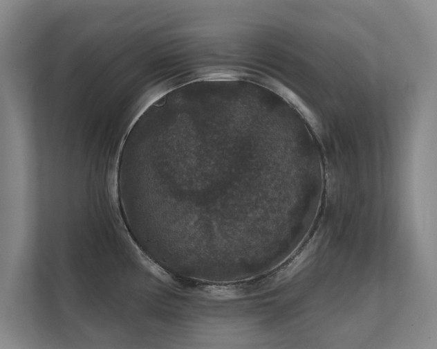 X0000111421194200907201041