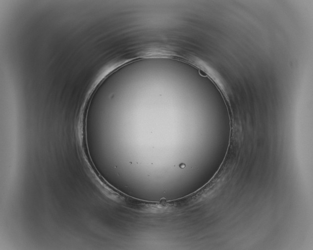 X0000111421195200907201041