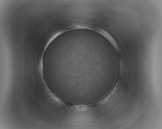 X0000111421198200907201041