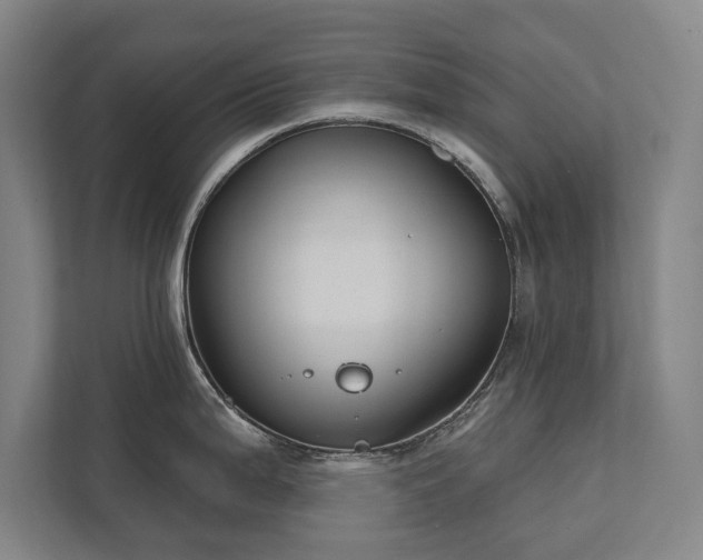 X0000111421199200907201041