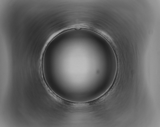 X0000111421200200907201041