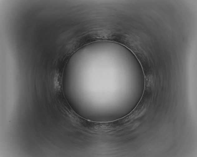 X0000111421202200907201041