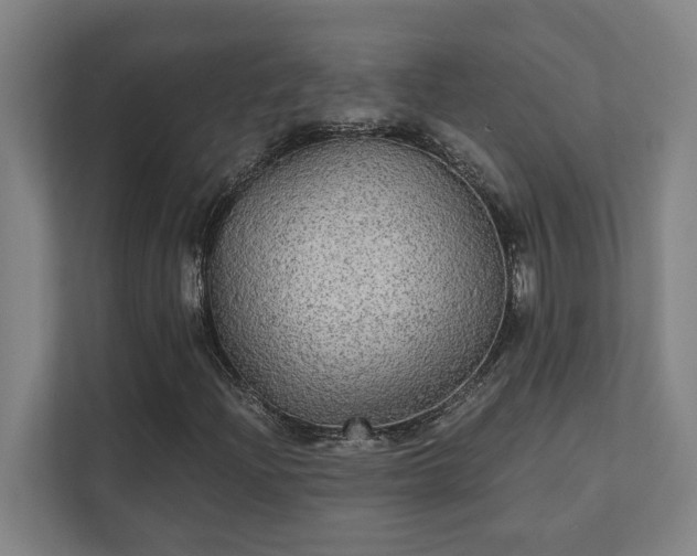 X0000111421204200907201041