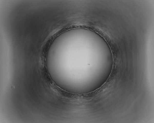 X0000111421207200907201041