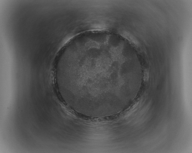 X0000111421208200907201041