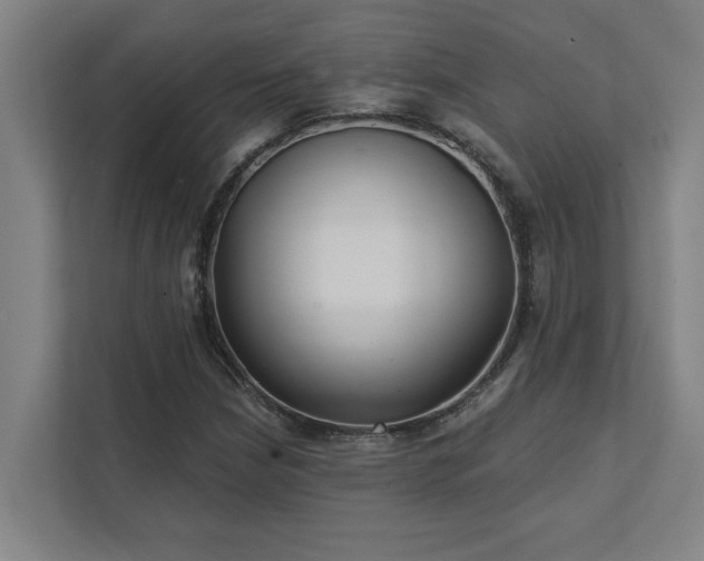 X0000111421210200907201041