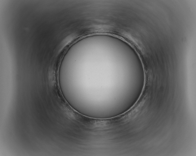 X0000111421211200907201041