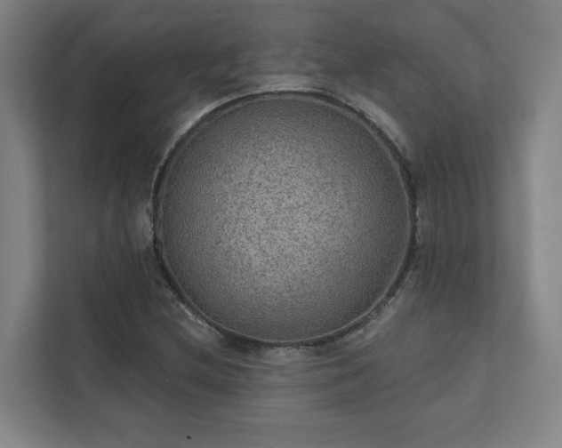 X0000111421212200907201041