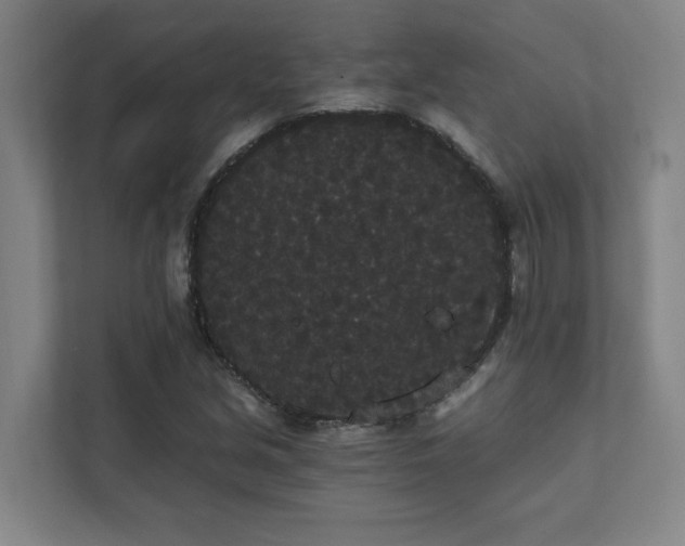 X0000111421213200907201041