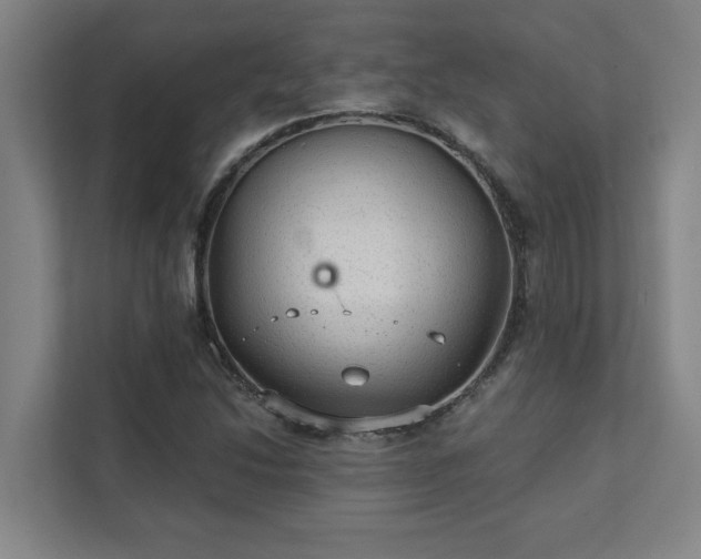 X0000111421214200907201041