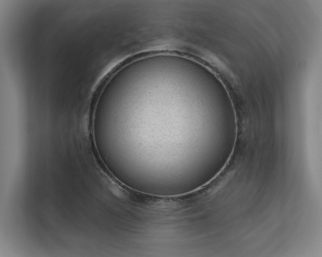 X0000111421216200907201041