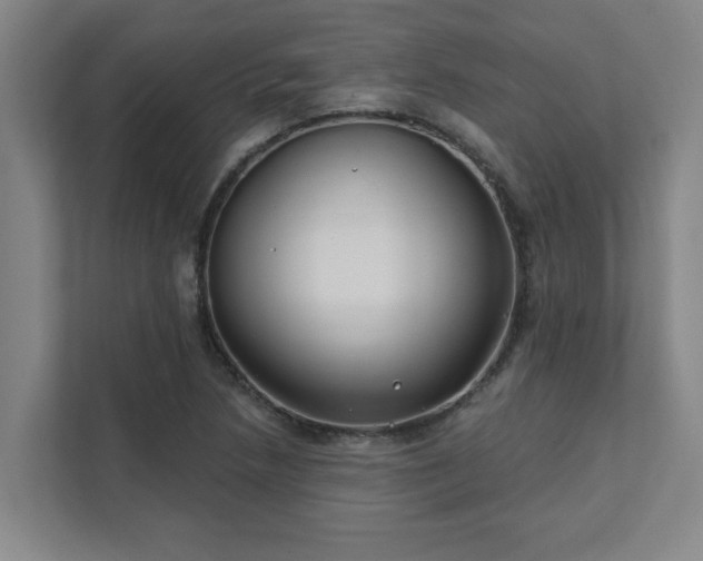 X0000111421218200907201041