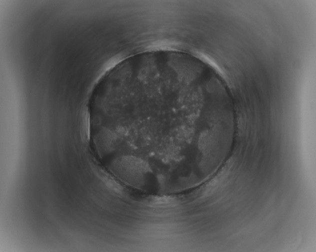 X0000111421219200907201041