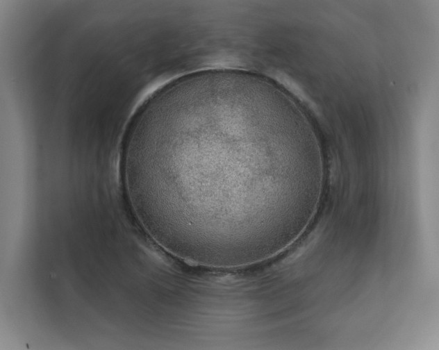 X0000111421222200907201041