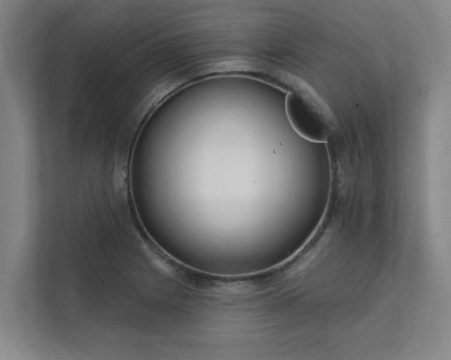 X0000111421225200907201041