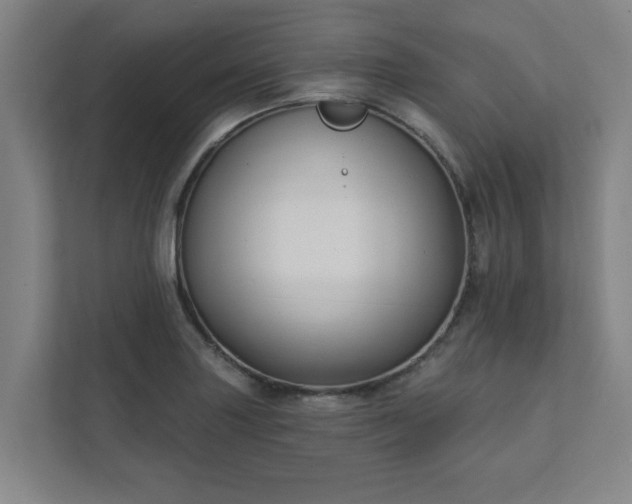 X0000111421227200907201041