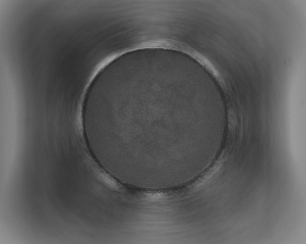 X0000111421230200907201041