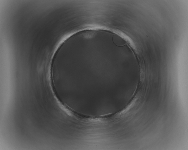 X0000111421231200907201041