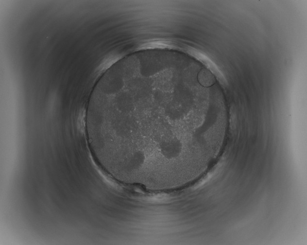 X0000111421233200907201041