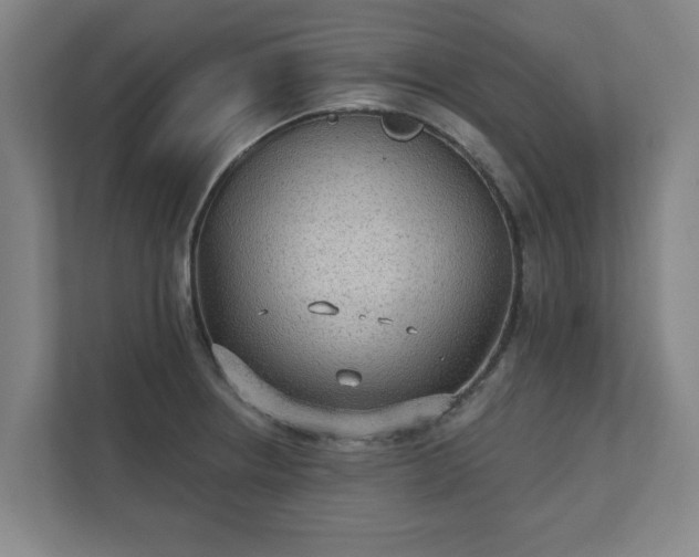 X0000111421234200907201041