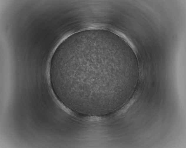 X0000111421235200907201041