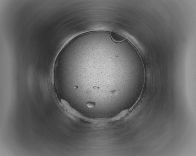 X0000111421236200907201041