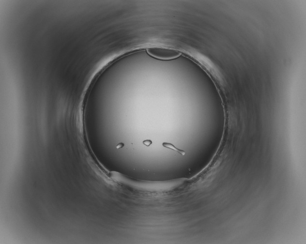 X0000111421238200907201041