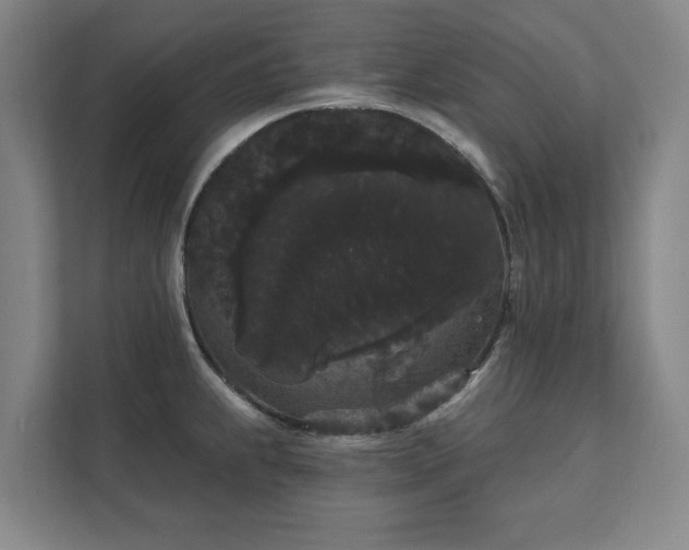 X0000111421239200907201041