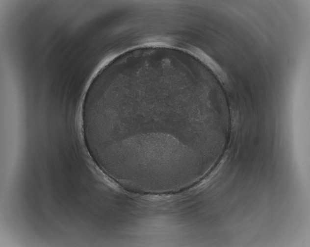 X0000111421240200907201041