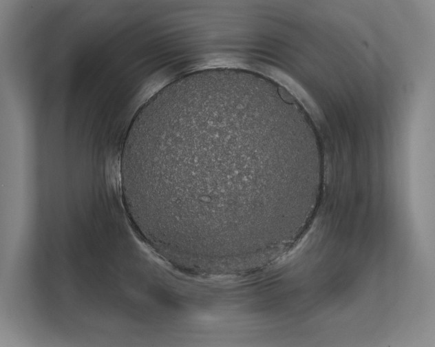 X0000111421241200907201041