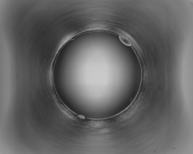 X0000111421242200907201041